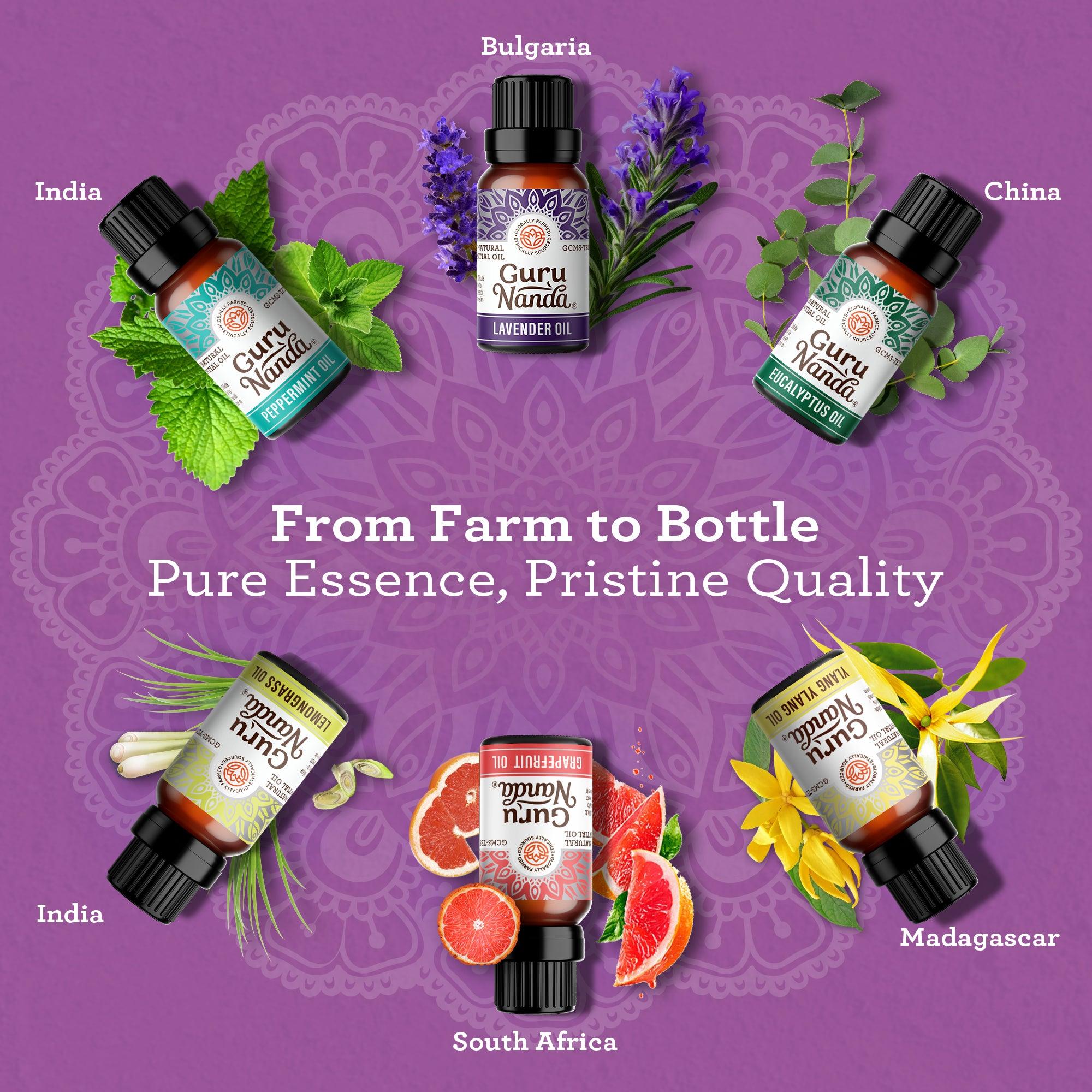 6 Essential Oils Single Notes Set. 10 ML