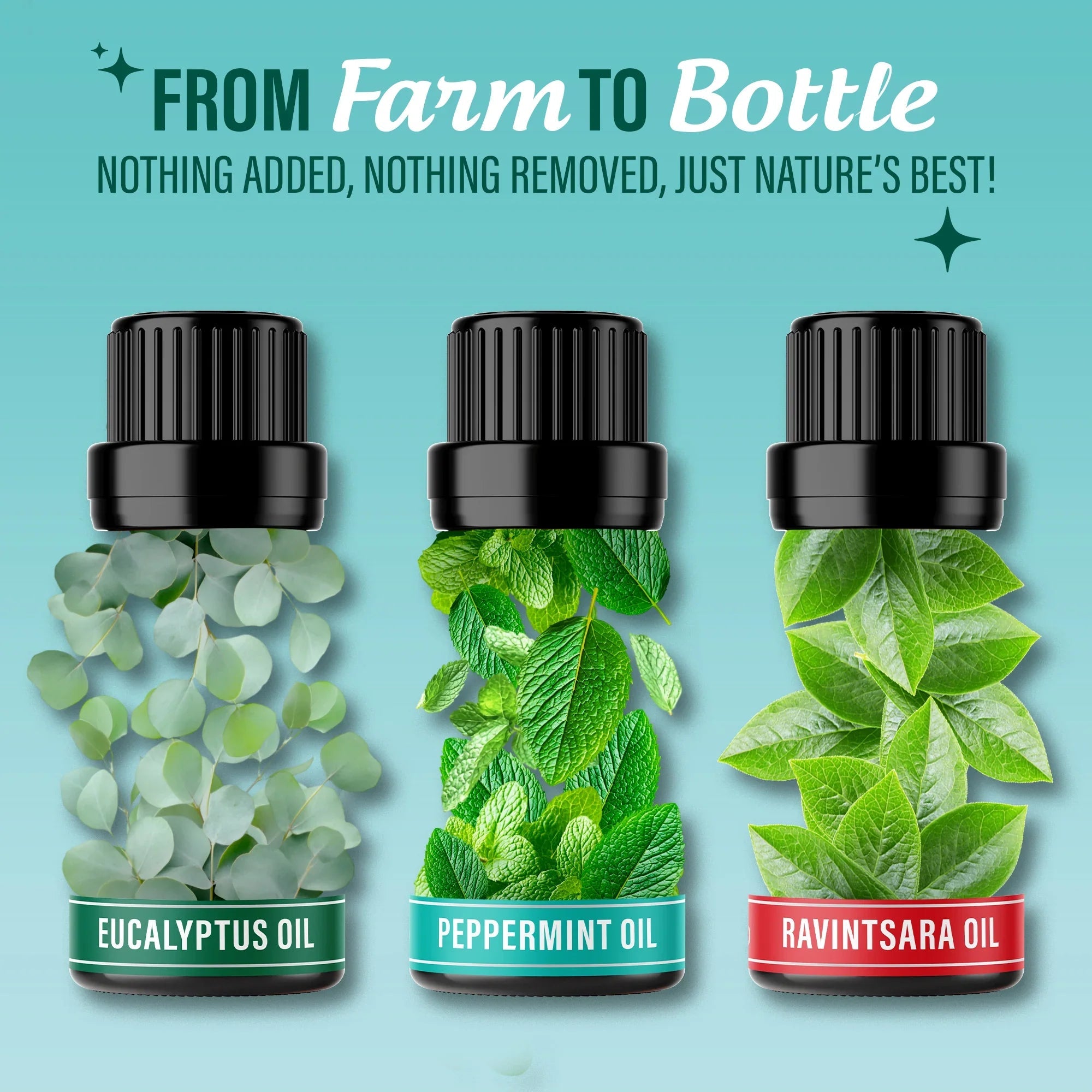 Breathe Essential Oil. 10 mL ¨C 3-Pack