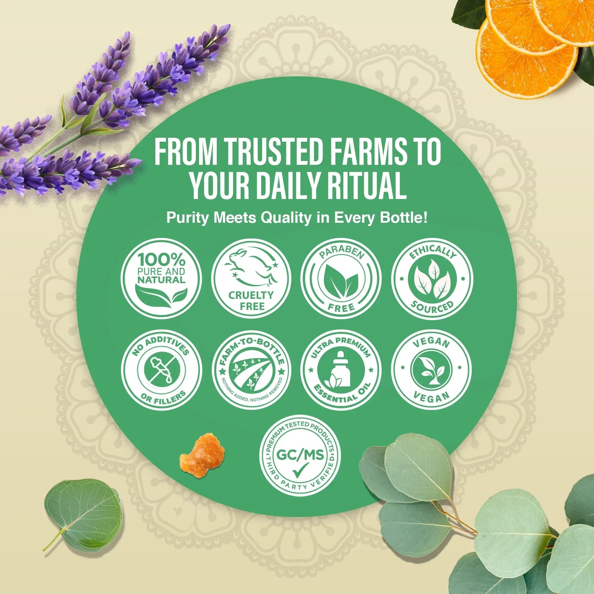 Four Essential Classics Set- Frankincense. Lavender. Eucalyptus. & Orange 4 x 15mL