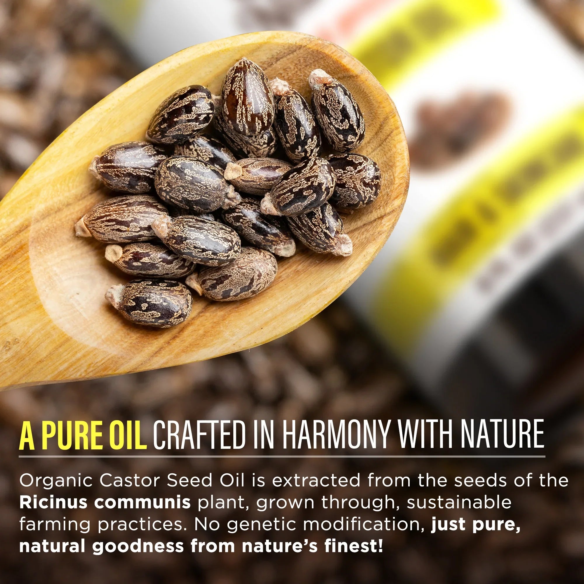 Organic Castor Oil ¨C 8 oz