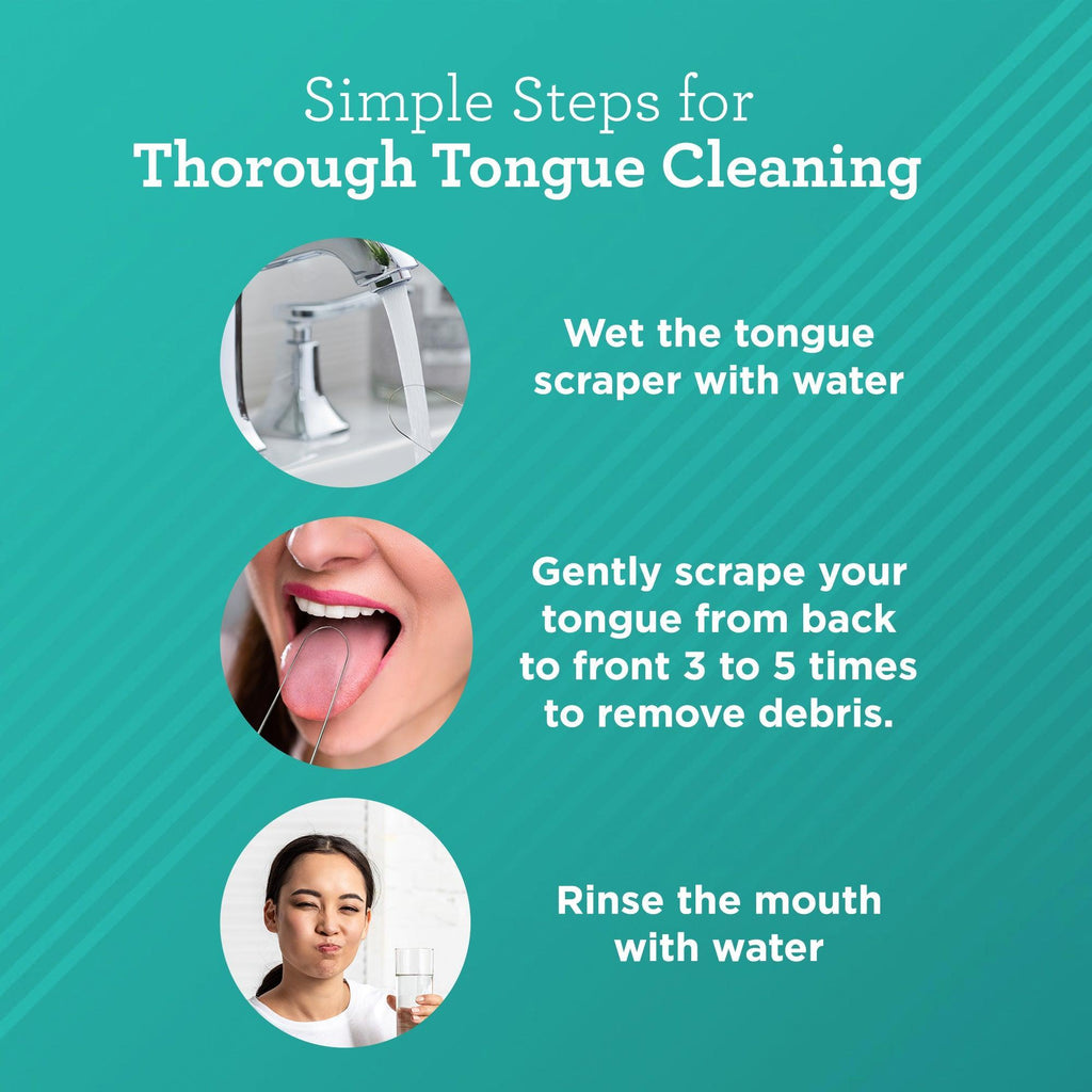 U Shaped Stainless Steel Tongue Scraper ¨C 2 Pack